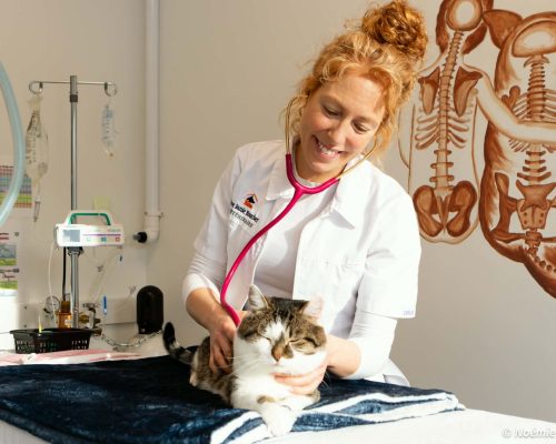 b1cac9e2-55e8-4029-8240-26f11c69435e